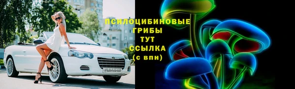 МДПВ Медногорск