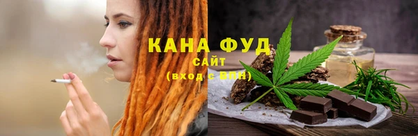 МДПВ Медногорск