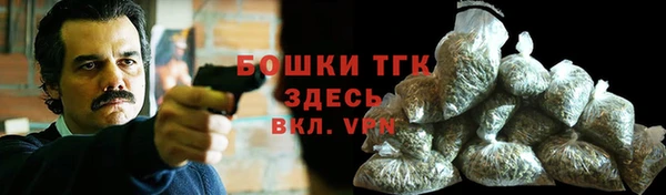 МДПВ Медногорск