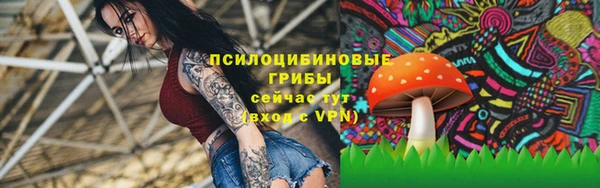МДПВ Медногорск