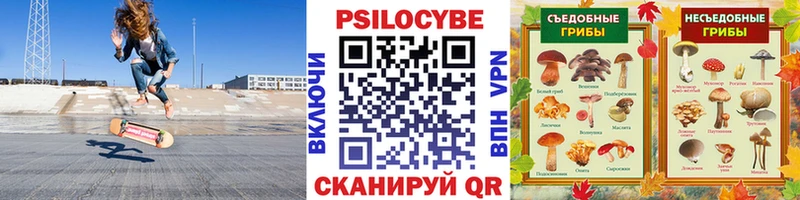 Купить закладки  Безенчук  Галлюциногенные грибы Magic Shrooms 